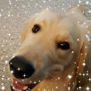 Meet your Posher, Jeannine